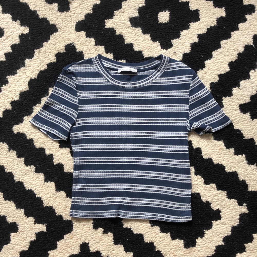 Zara Blue Striped Crop Top